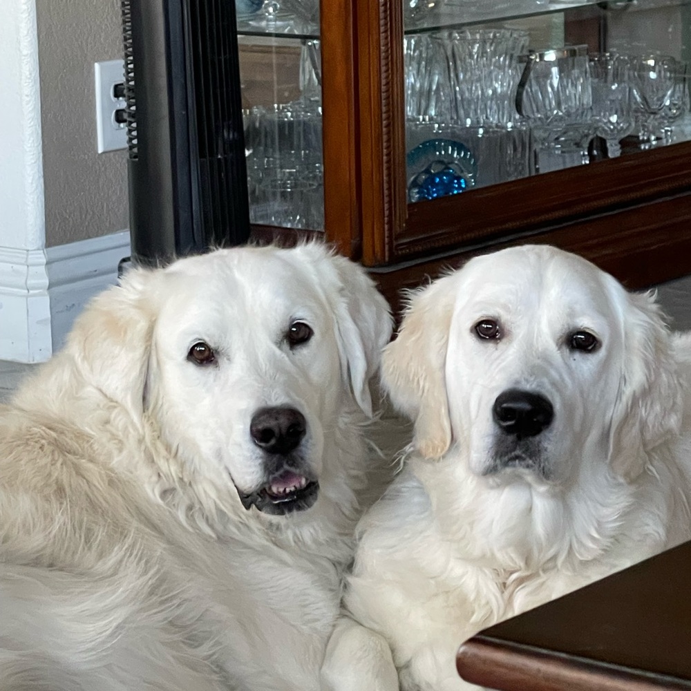 Meet your Posher, Pamela